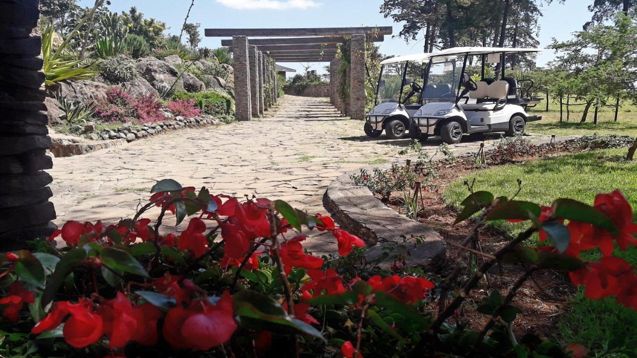 Gondar Hills Resort Extérieur photo